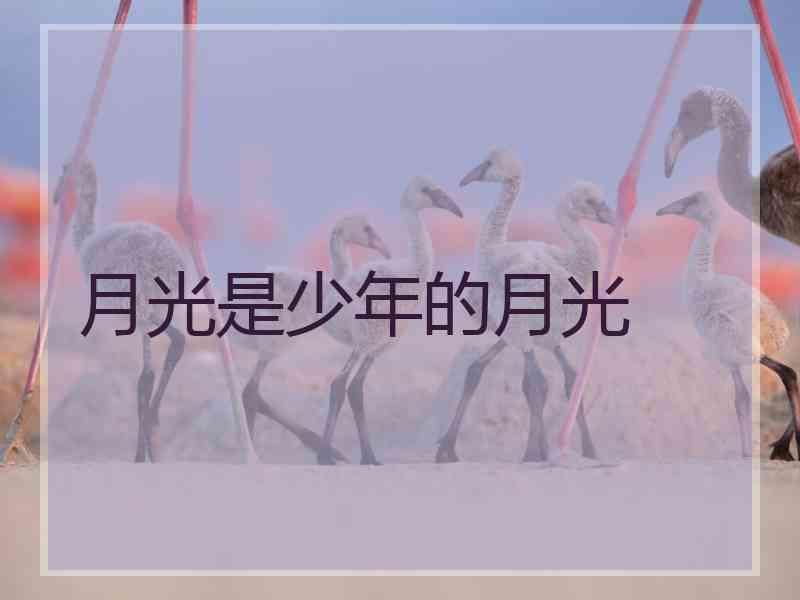 月光是少年的月光