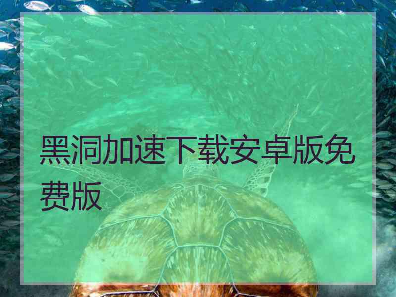 黑洞加速下载安卓版免费版