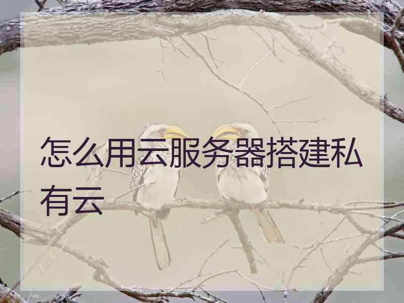 怎么用云服务器搭建私有云