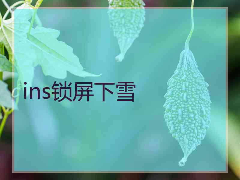 ins锁屏下雪