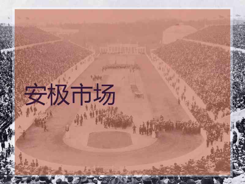 安极市场