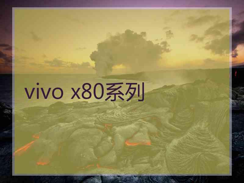 vivo x80系列