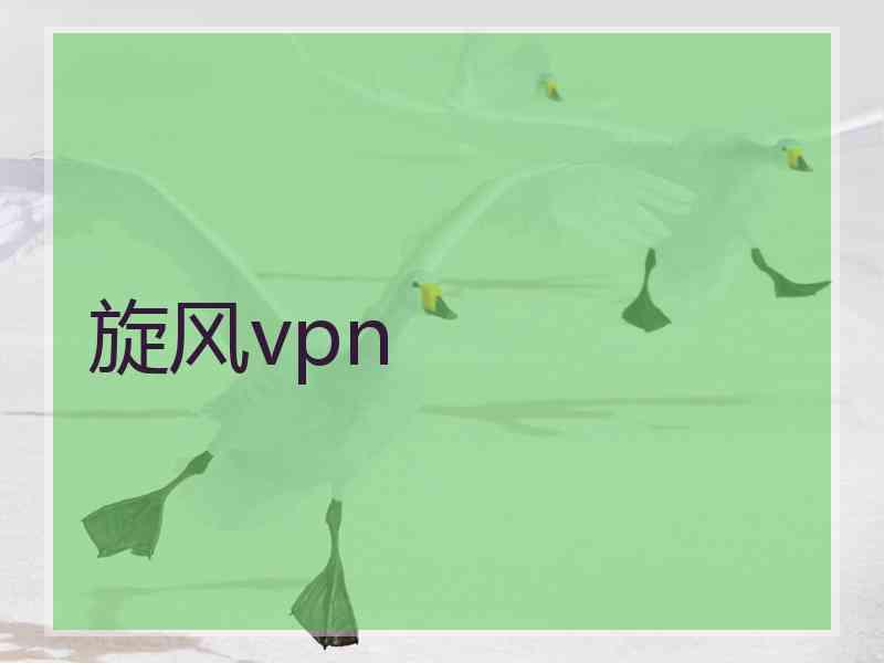 旋风vpn