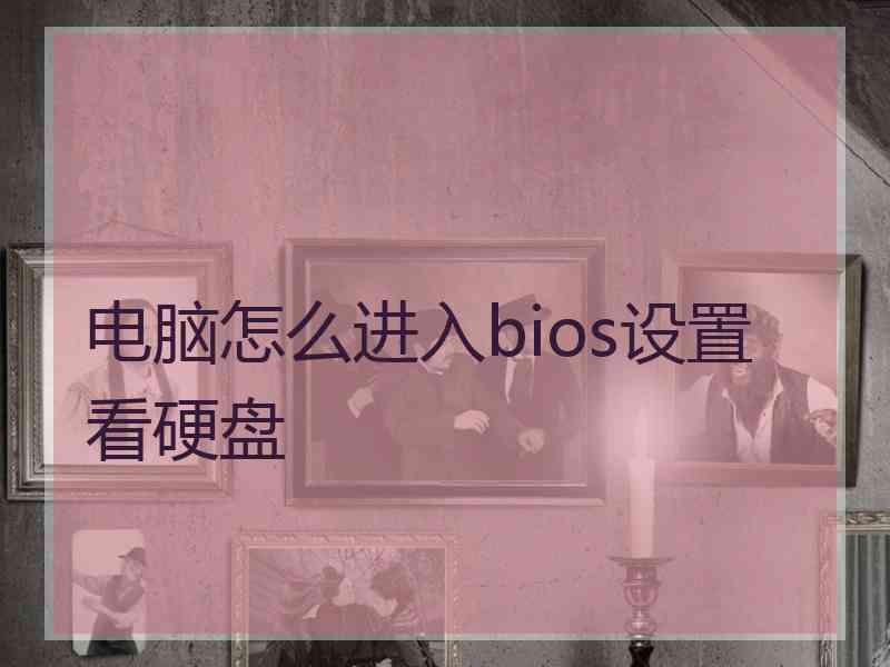 电脑怎么进入bios设置看硬盘