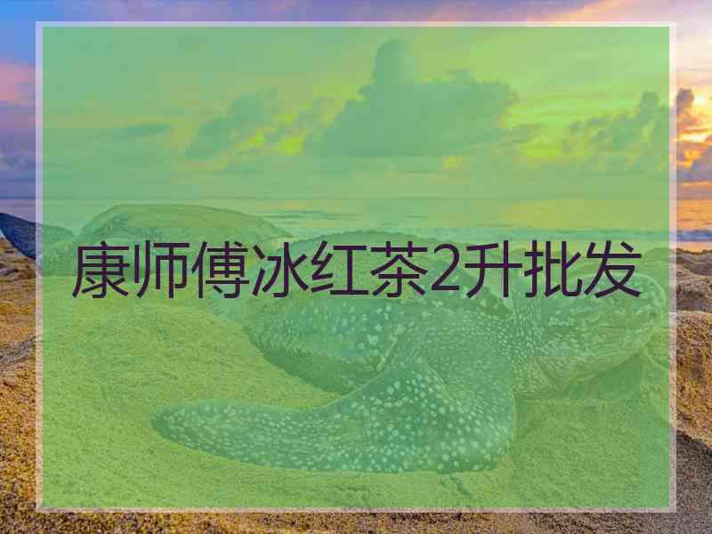 康师傅冰红茶2升批发
