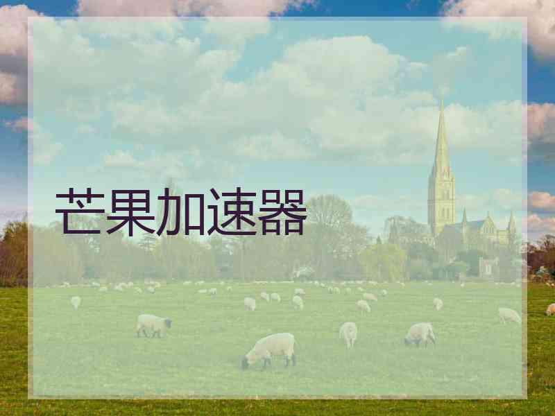 芒果加速器