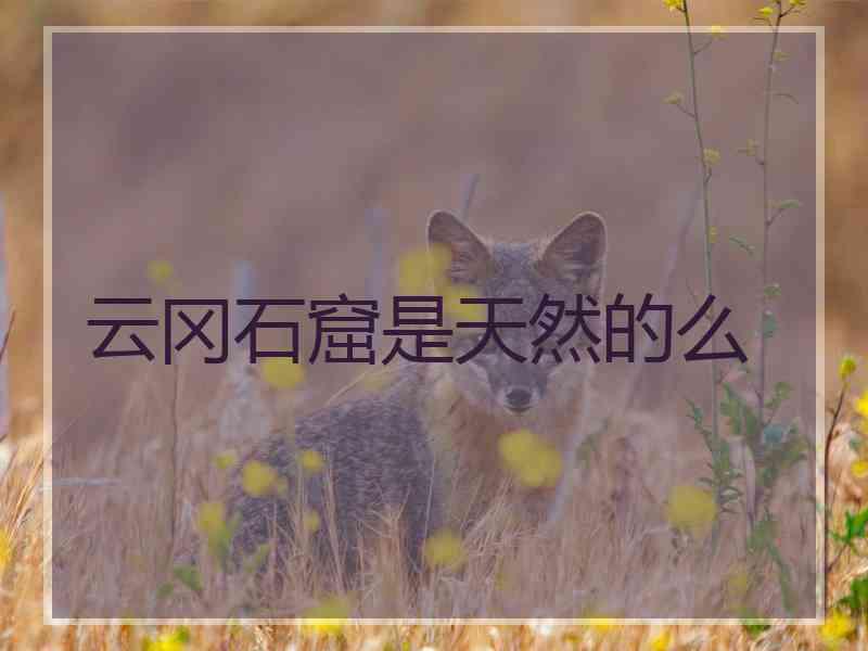 云冈石窟是天然的么