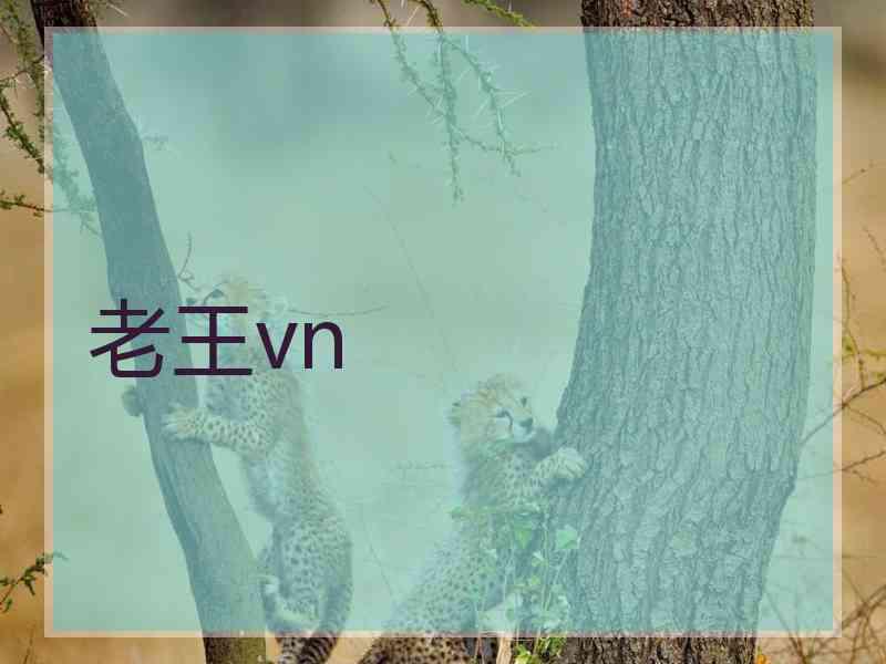 老王vn