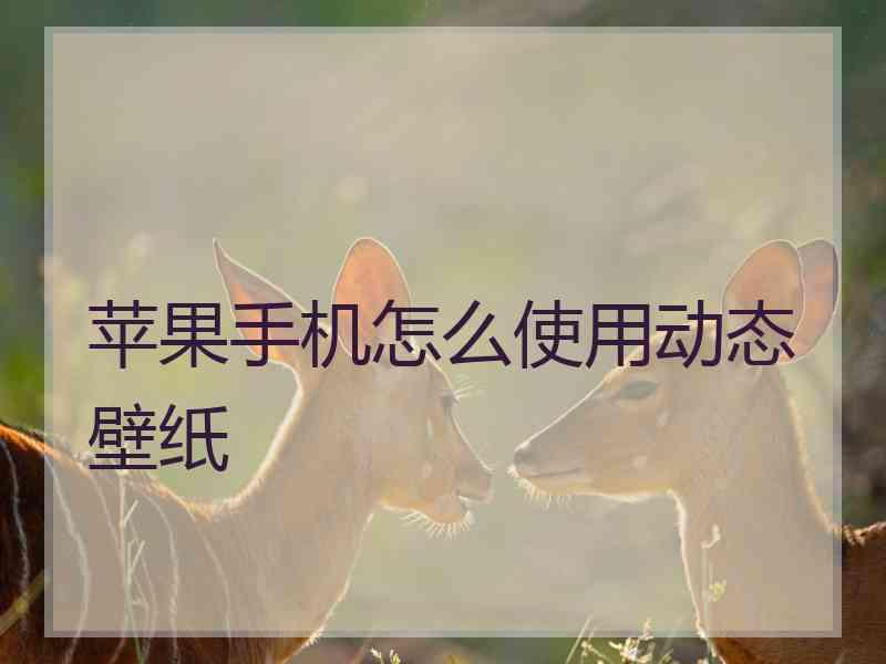 苹果手机怎么使用动态壁纸