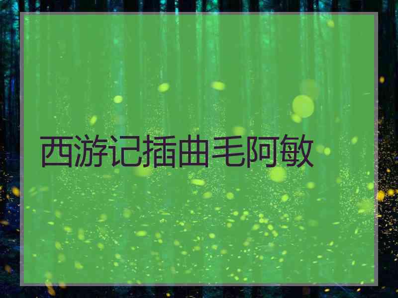 西游记插曲毛阿敏