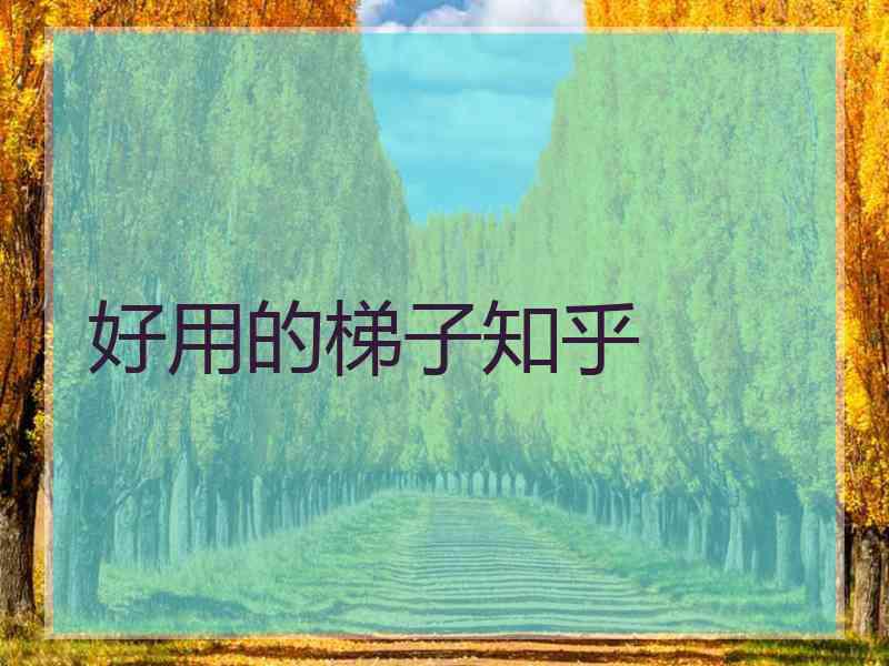 好用的梯子知乎