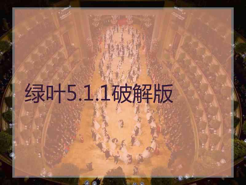 绿叶5.1.1破解版