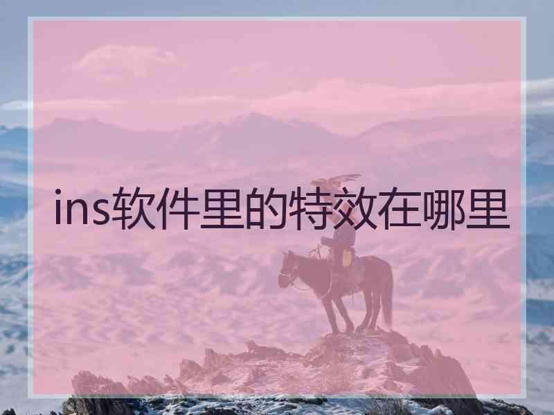 ins软件里的特效在哪里