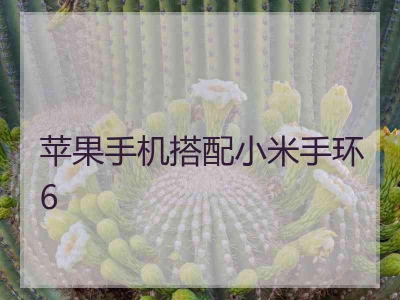 苹果手机搭配小米手环6