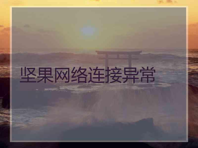 坚果网络连接异常