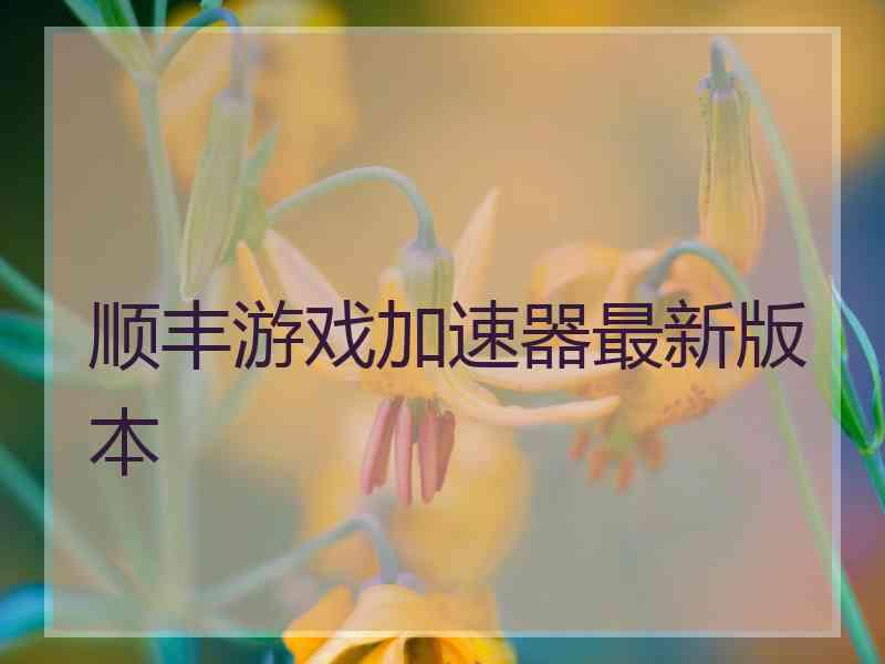 顺丰游戏加速器最新版本
