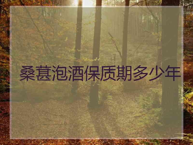 桑葚泡酒保质期多少年