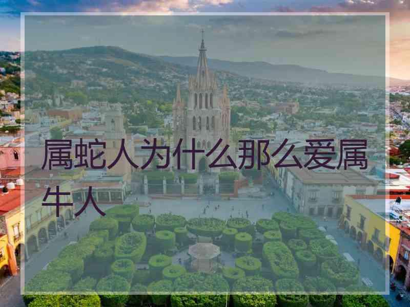 属蛇人为什么那么爱属牛人