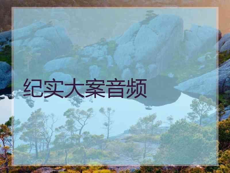 纪实大案音频