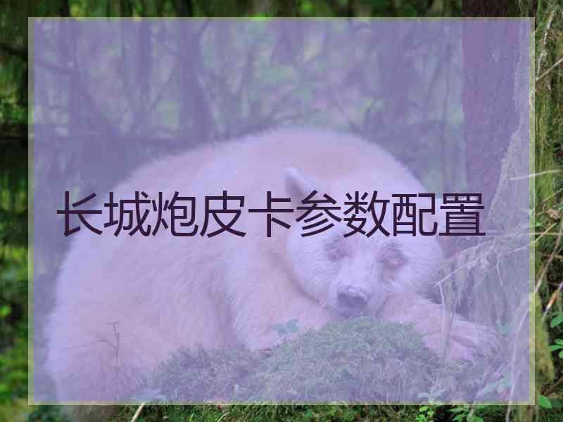长城炮皮卡参数配置