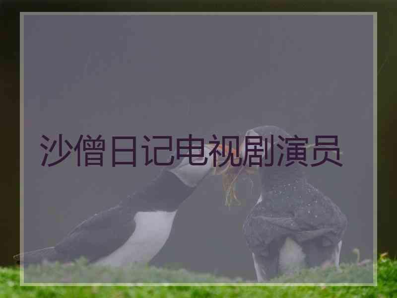 沙僧日记电视剧演员