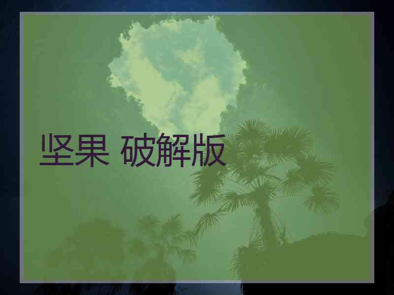 坚果 破解版