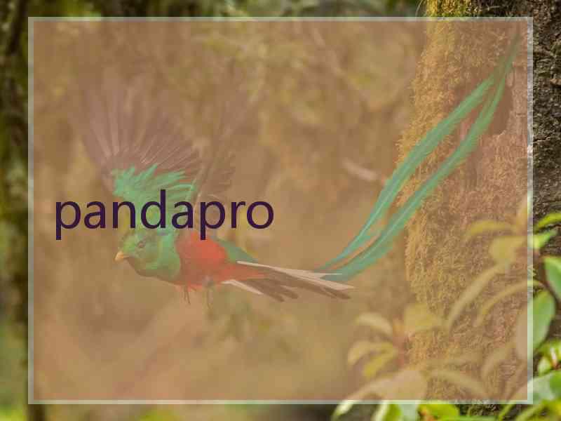 pandapro