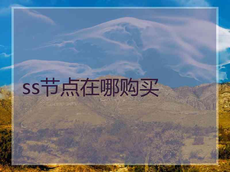 ss节点在哪购买