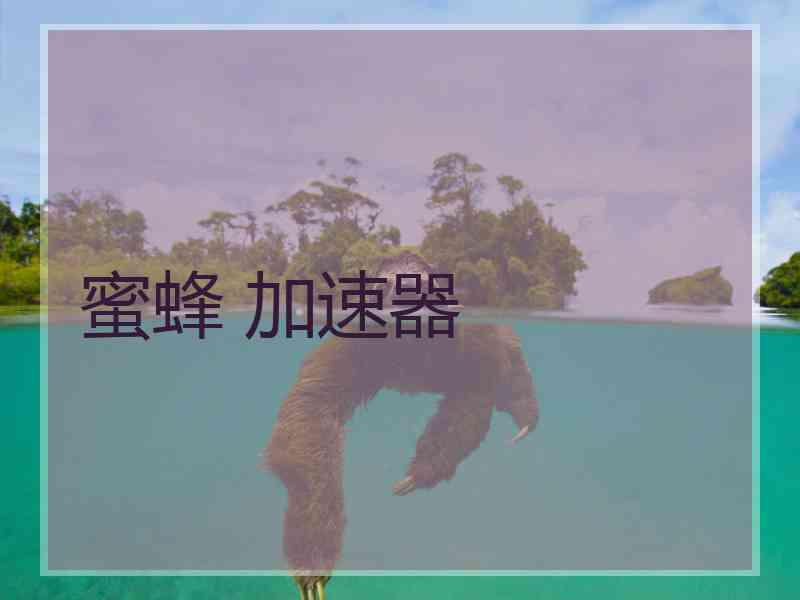 蜜蜂 加速器