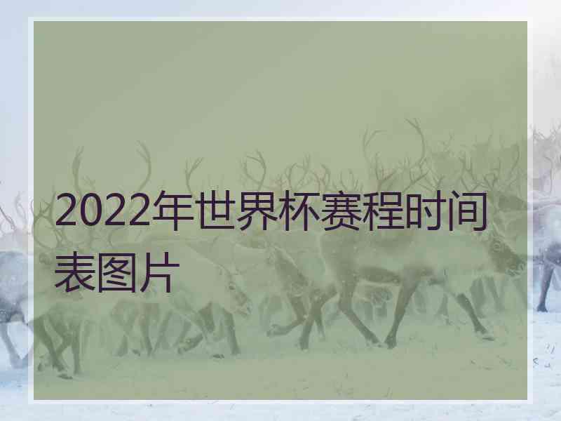 2022年世界杯赛程时间表图片