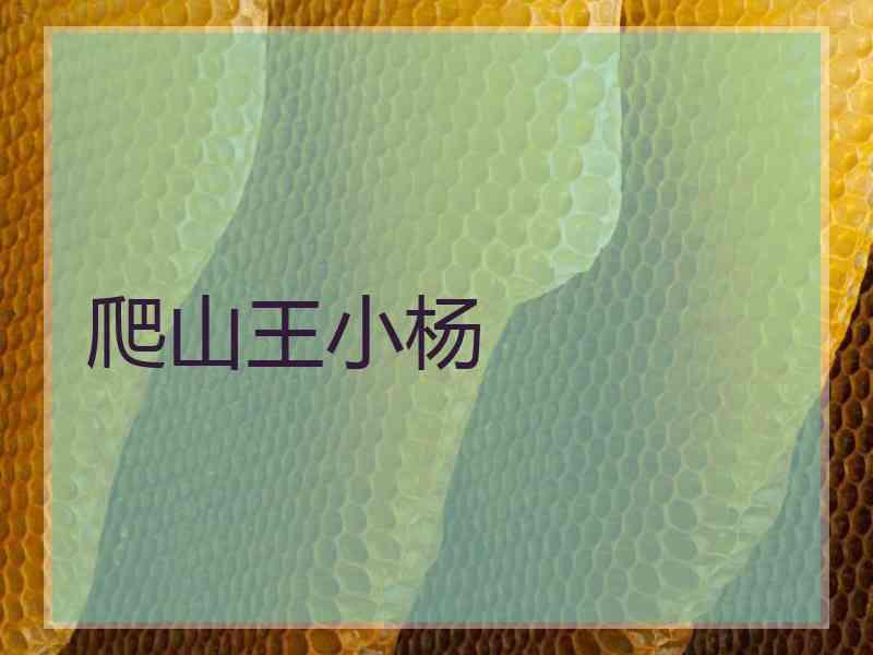 爬山王小杨