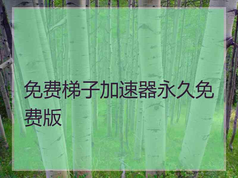 免费梯子加速器永久免费版