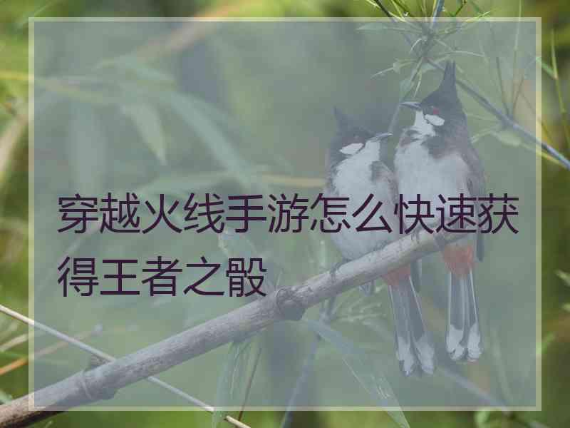 穿越火线手游怎么快速获得王者之骰