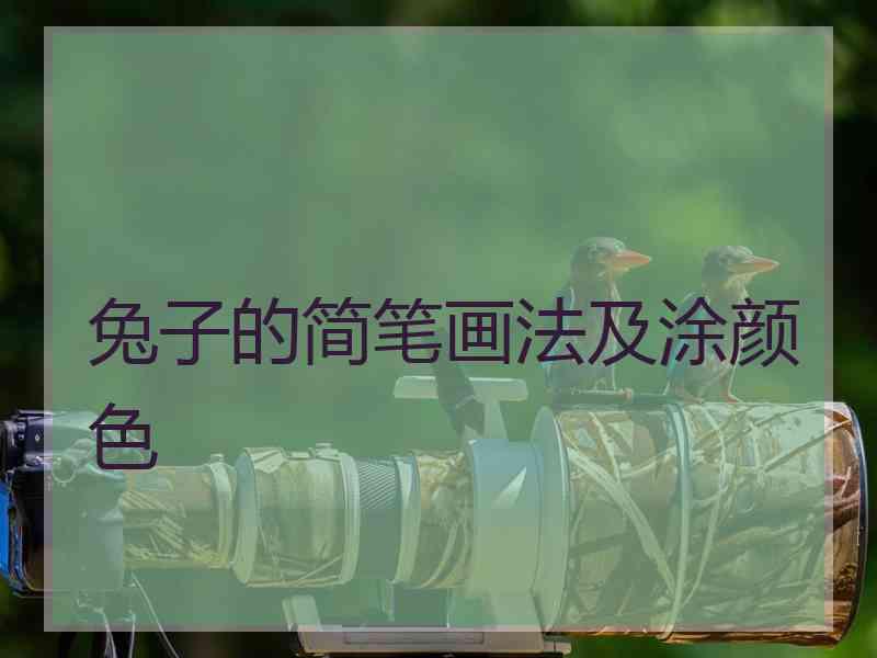 兔子的简笔画法及涂颜色