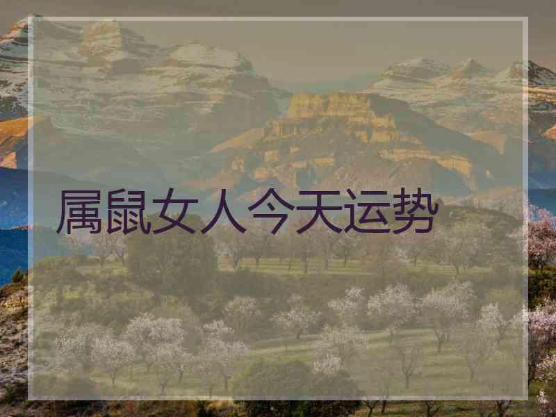 属鼠女人今天运势