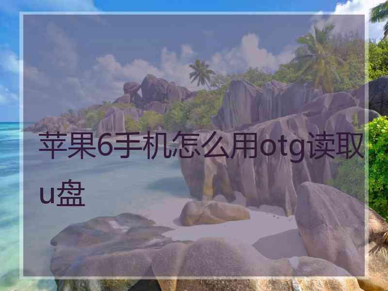 苹果6手机怎么用otg读取u盘