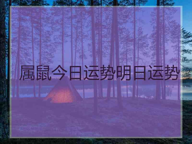 属鼠今日运势明日运势