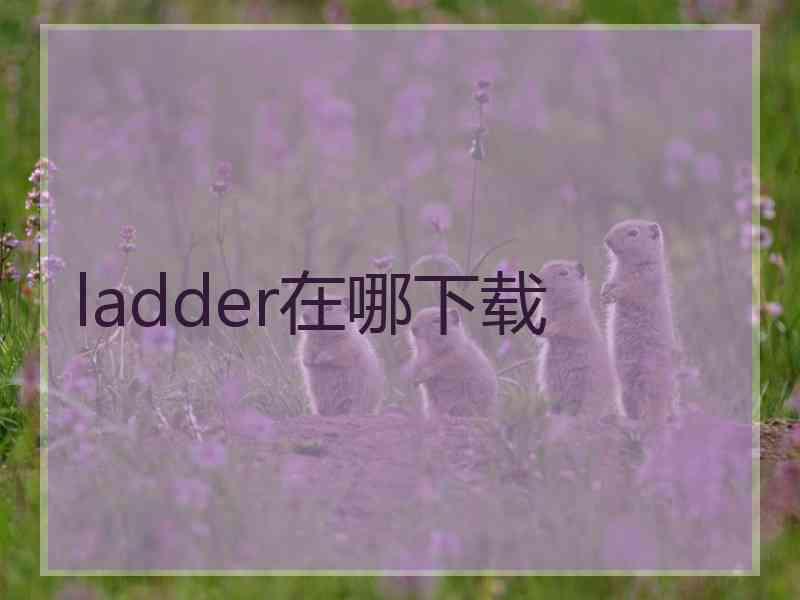 ladder在哪下载