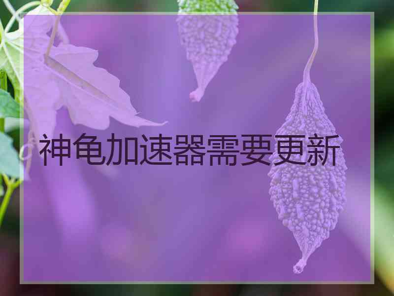神龟加速器需要更新