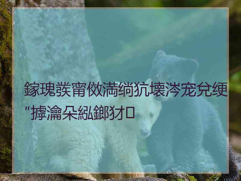 鎵瑰彂甯傚満绱犺壊涔宠兌绠″摢瀹朵紭鎯犲