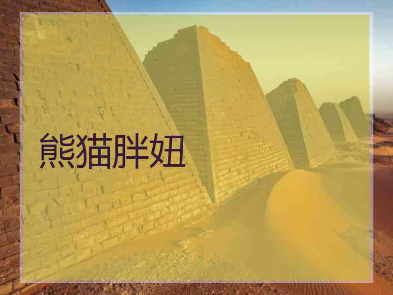 熊猫胖妞