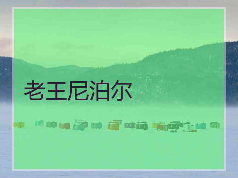 老王尼泊尔