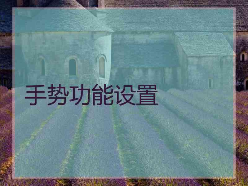 手势功能设置