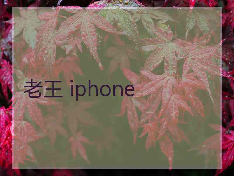 老王 iphone