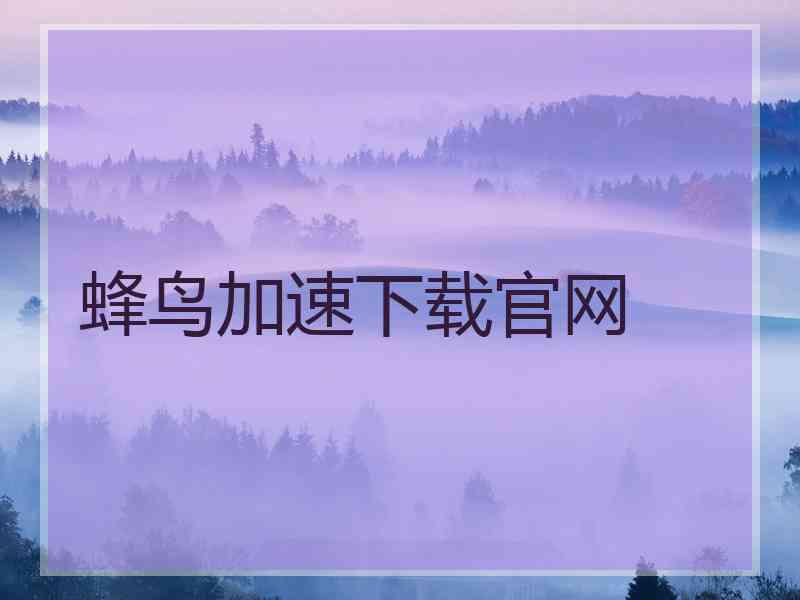 蜂鸟加速下载官网