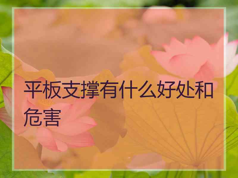 平板支撑有什么好处和危害