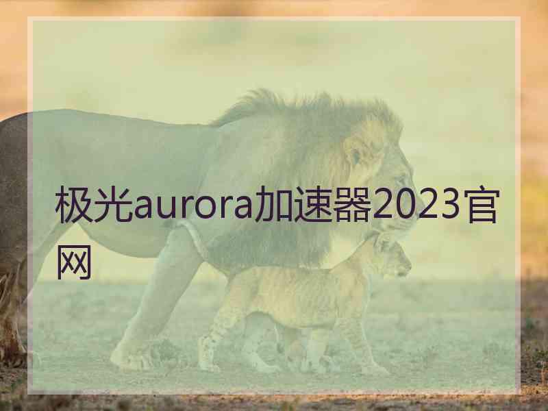 极光aurora加速器2023官网