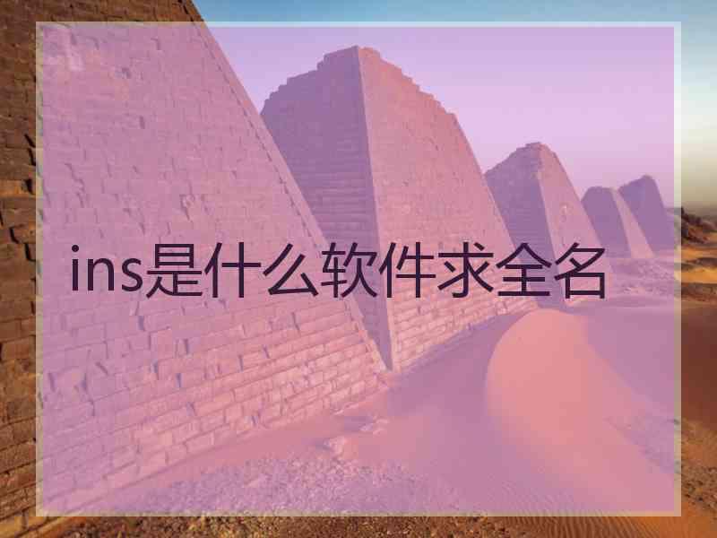 ins是什么软件求全名