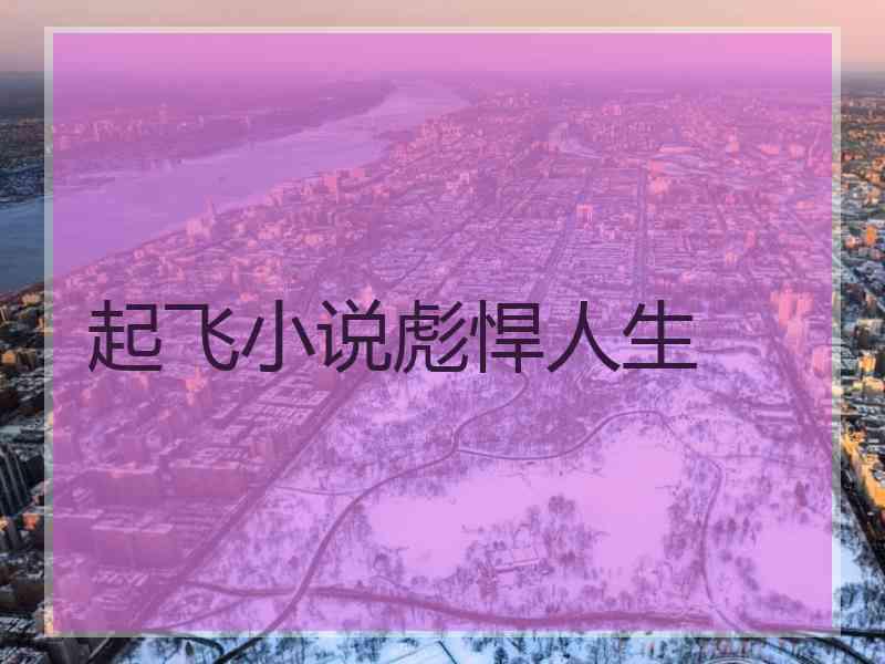 起飞小说彪悍人生