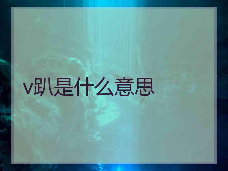 v趴是什么意思